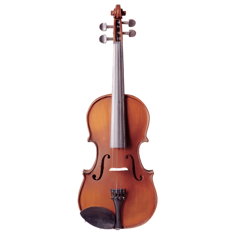 Vivo Neo Student Violin 3/4 Outfit